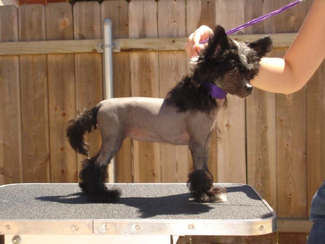 Gotcha Holliwould Know it All