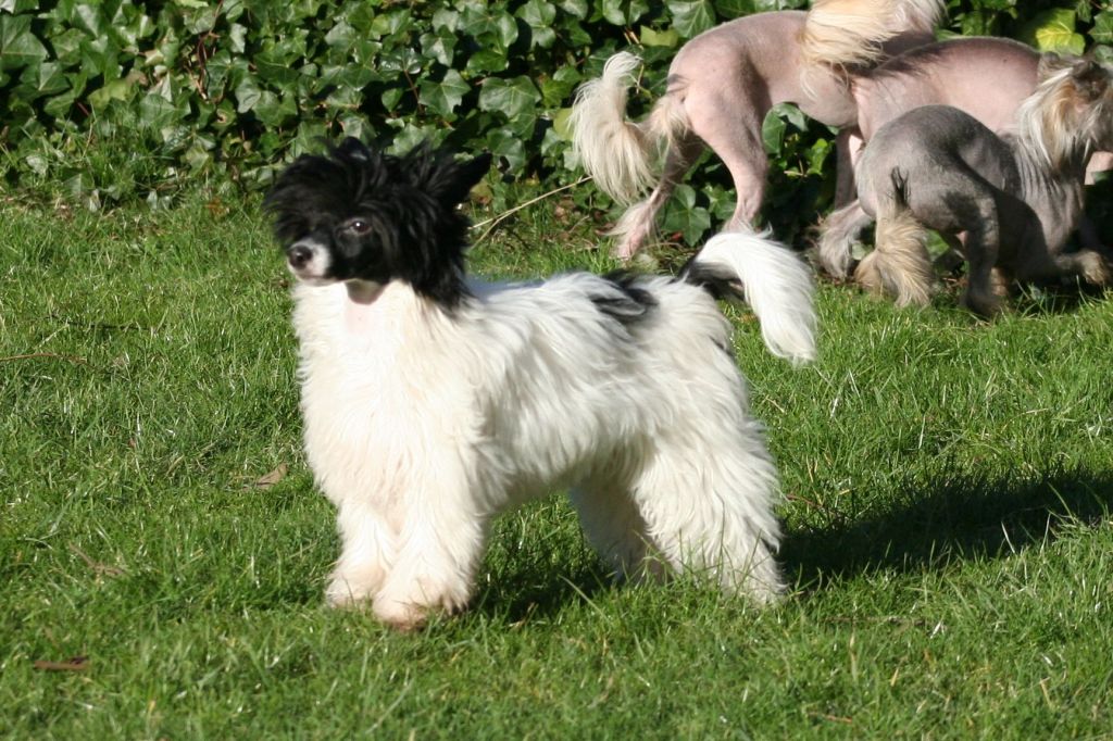 Tamarsh Time For Bizness