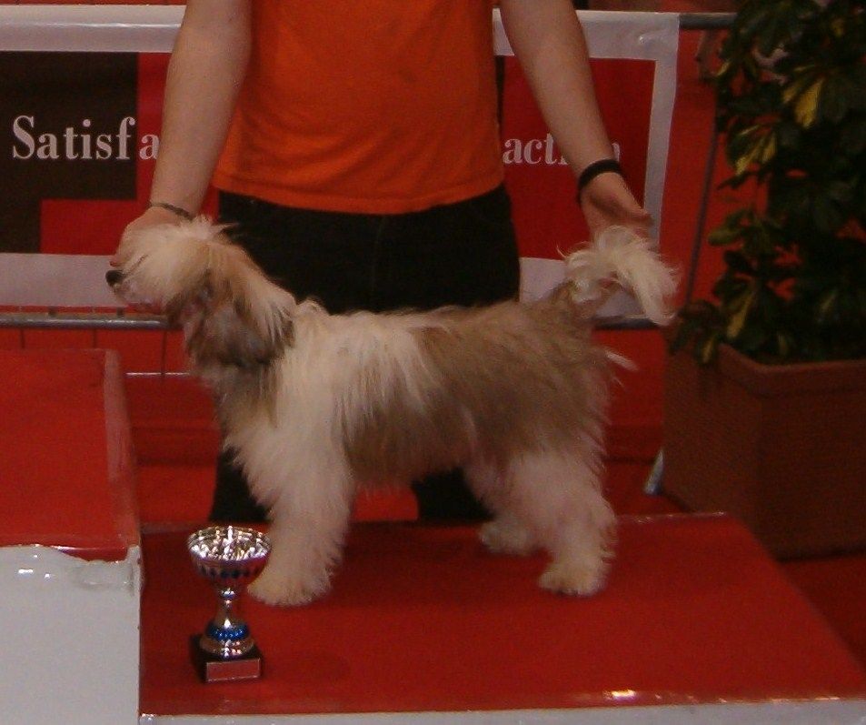 Santiago das Estrelas do Montado