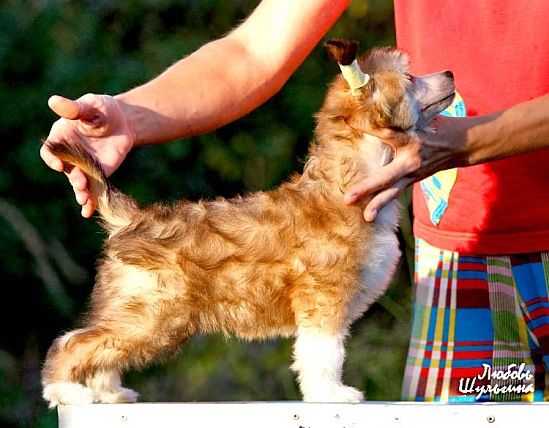 Olegro Katrin Keep Something Secret