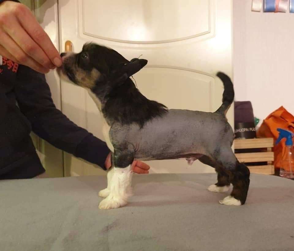 Viuvaun Just In Case