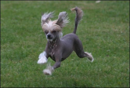 House Of Fun's Exotic'n Hot