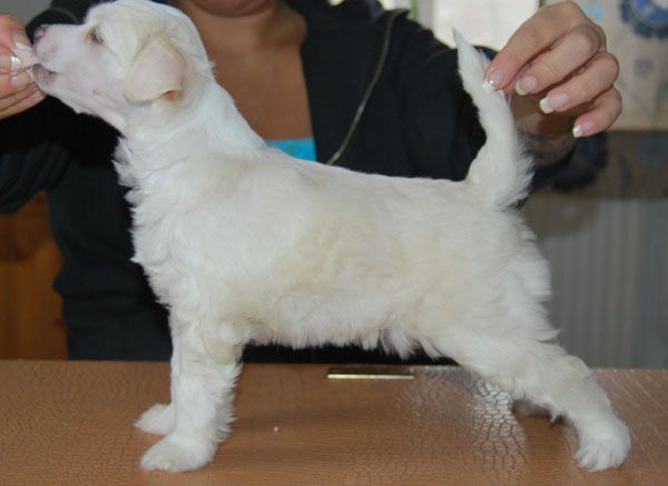 Beauty Of Xlnz Four Golden moments