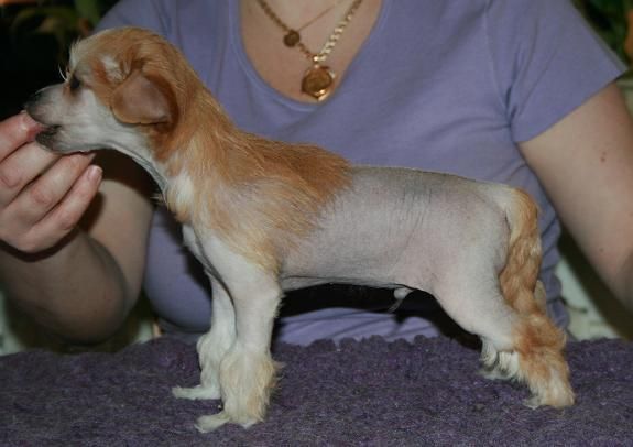 Absolute Magic's Enjoy Me