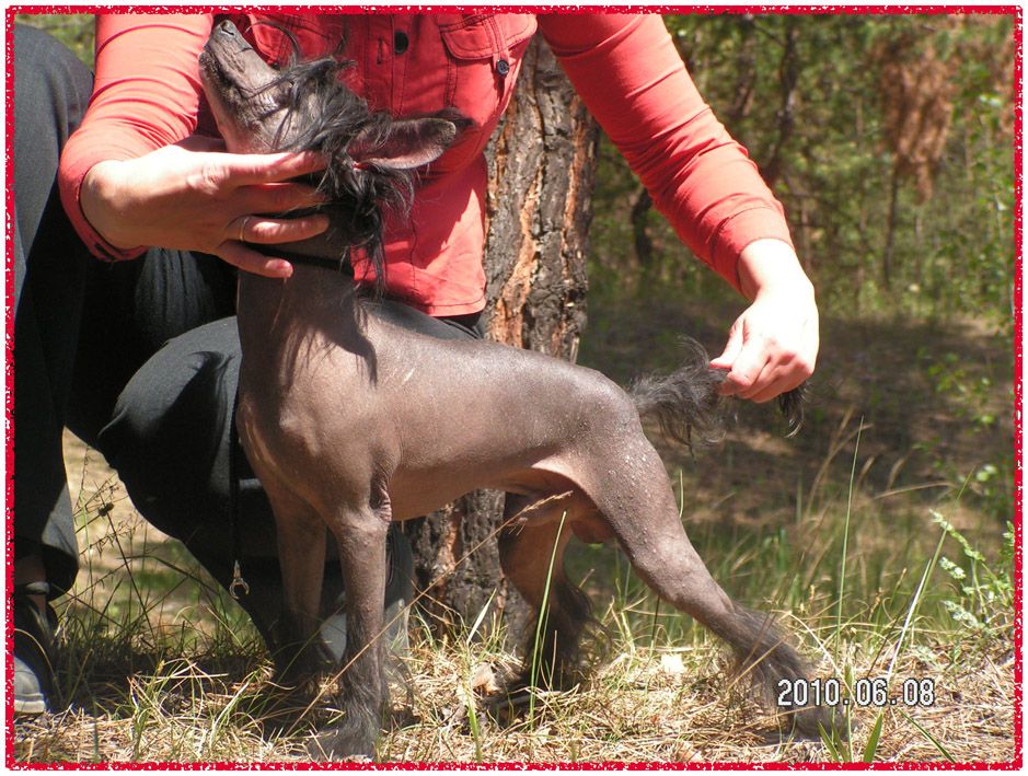 My Lucky Love Artur Noble Knight