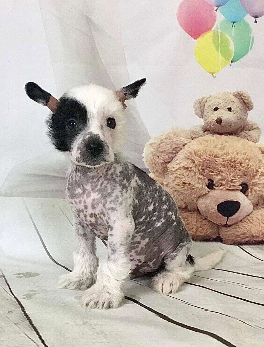 Picture