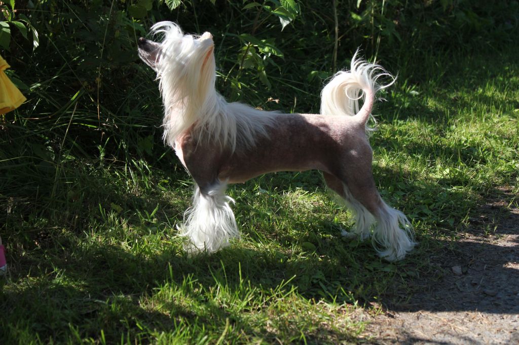 Jettafon's Evening Sunset