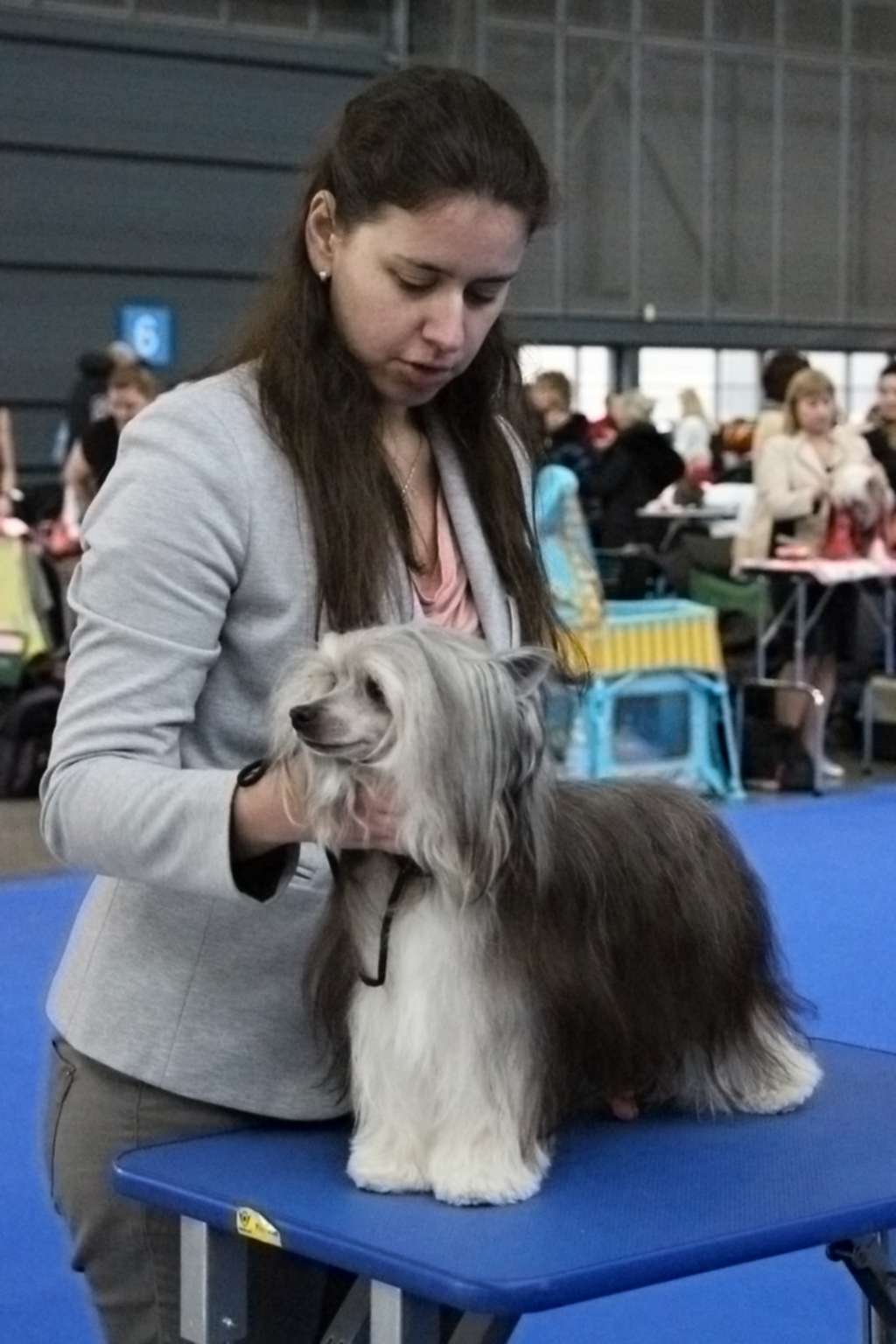 Daisy z Jestrebiho kralovstvi