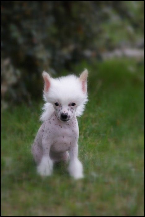 Hermes Du Coeur Des Tenebres