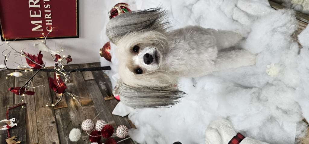 Funtymes in Purple Rain