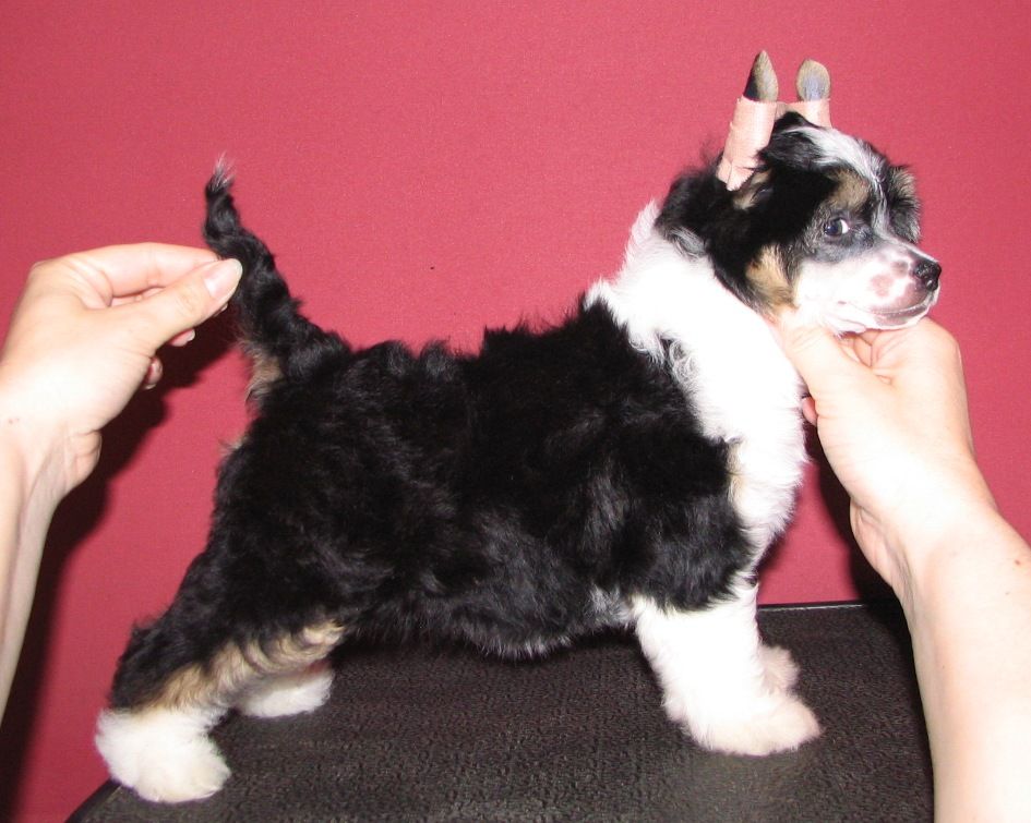 Picture