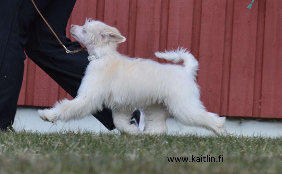 Kaitlin Nitramine Manpain