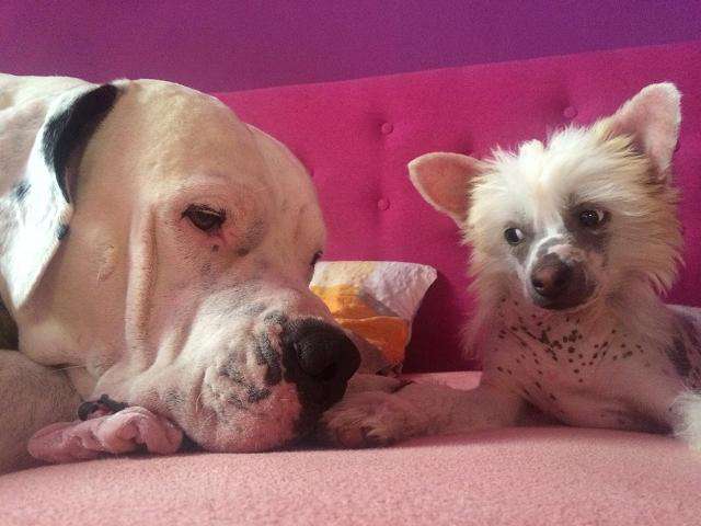 Picture