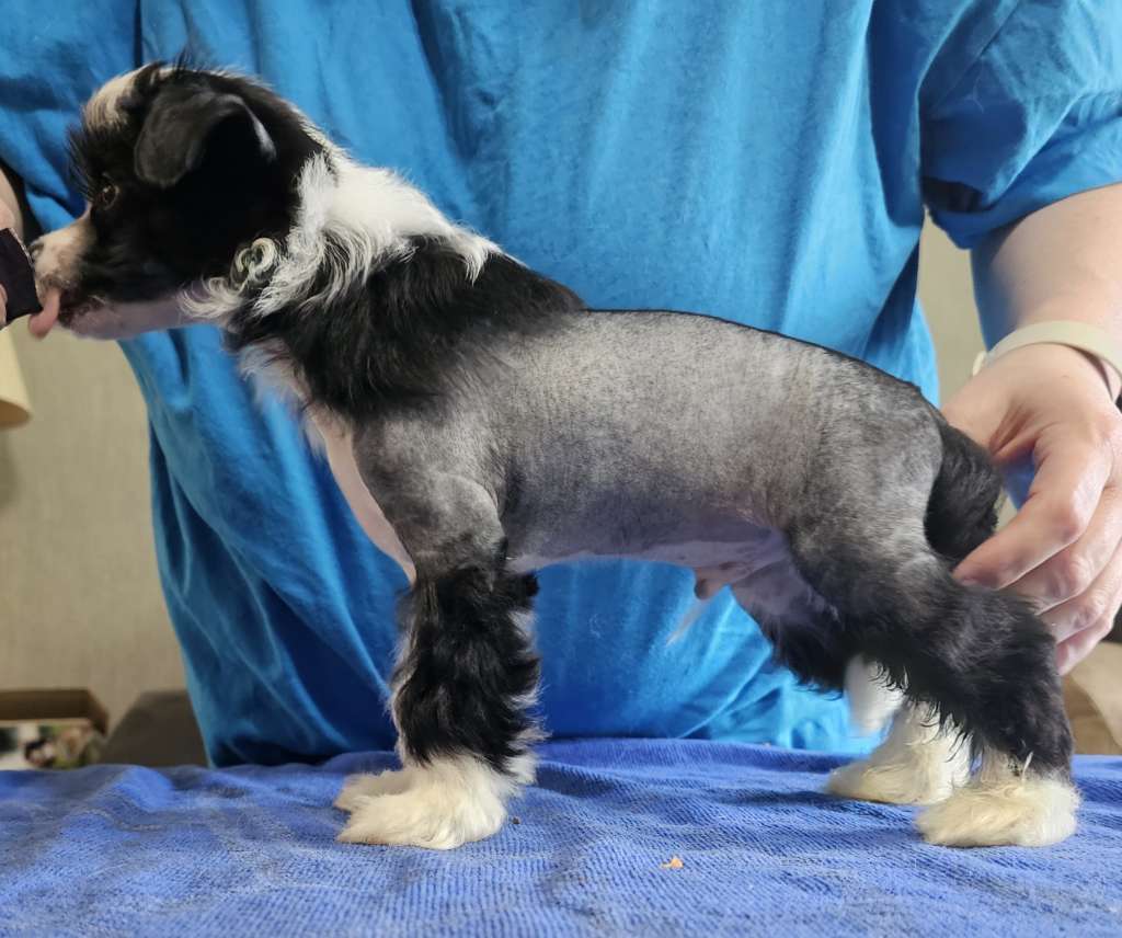 Picture