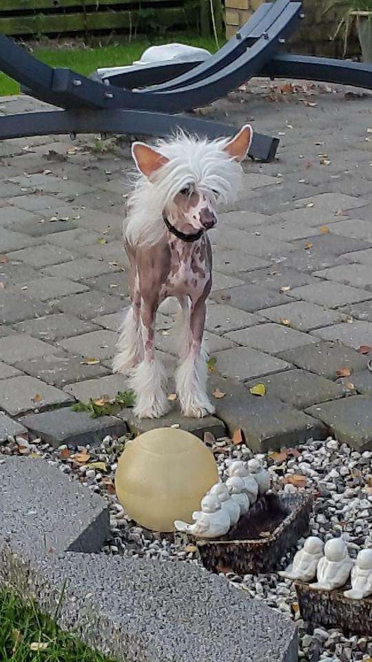 Hottie Tots Come As You Are