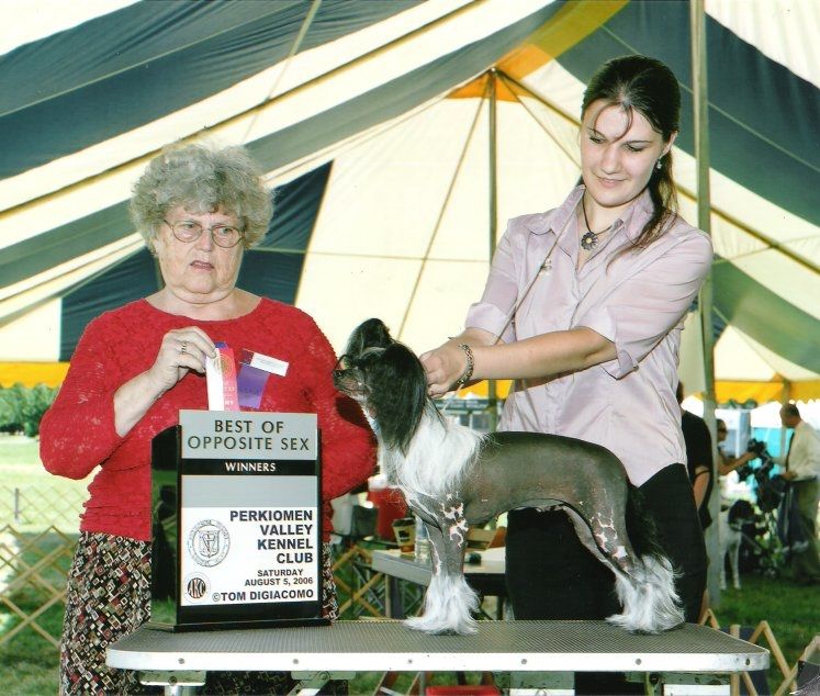 Joyway's Heart Full Of Love