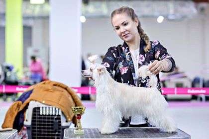 Rolana Family Lanvin