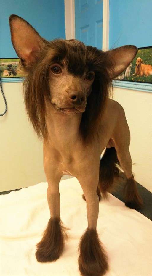 Jewels Simply Irresistible at Hpnotik