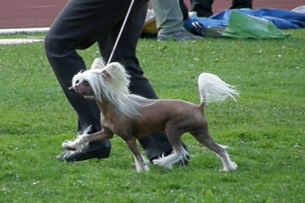 Picture