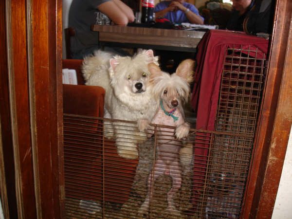 My Little Hell Boy FalaZairroo