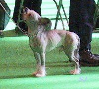 Blandora That's My Boy Of Xanadax