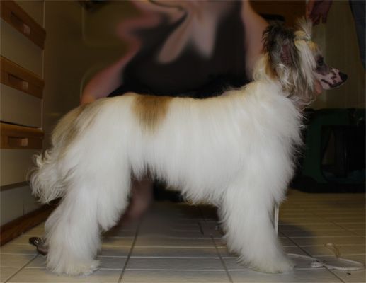 Fiabella's Dan Humphrey