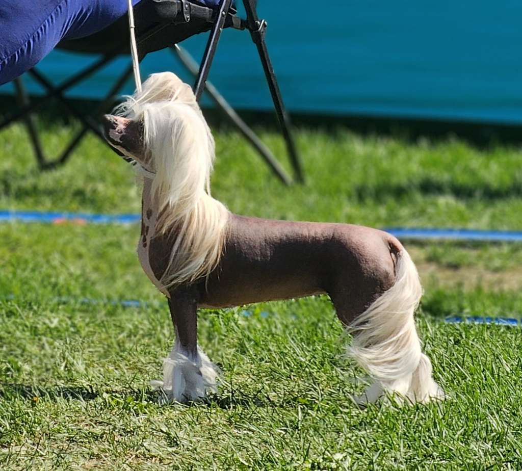 Jean Dark A Love Song