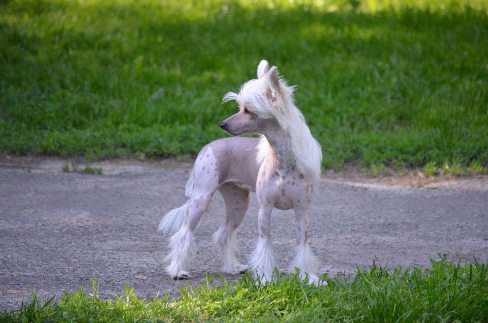 Solino's Hot On High Heels