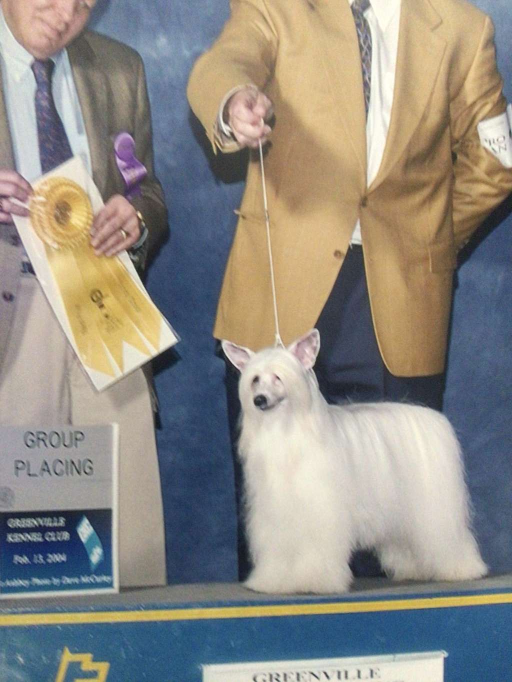 Expression-Kwik Copy At Wincrest