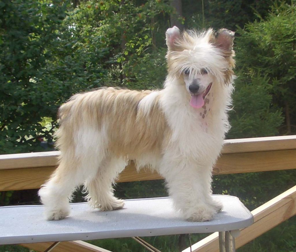 Sun-Hee's Stay With Me