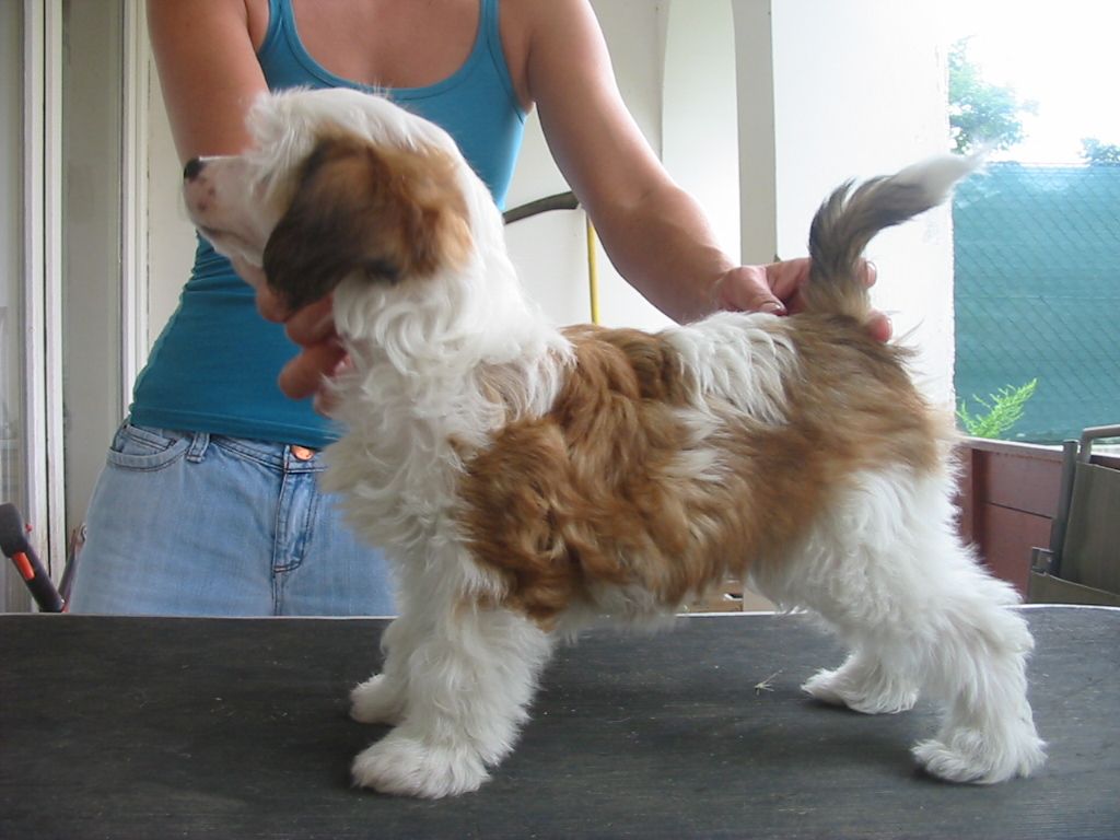 New Wave Mon Cherie de GabriTho