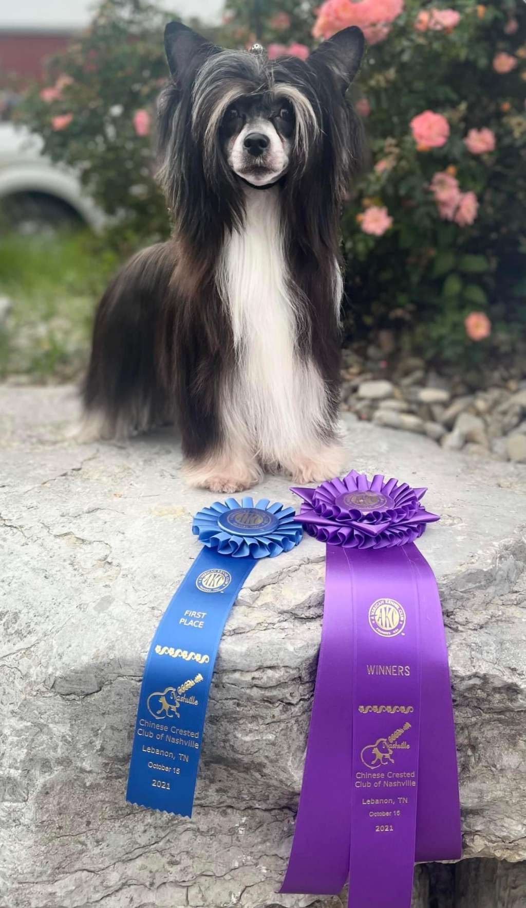 Dark Necessities Gattaca