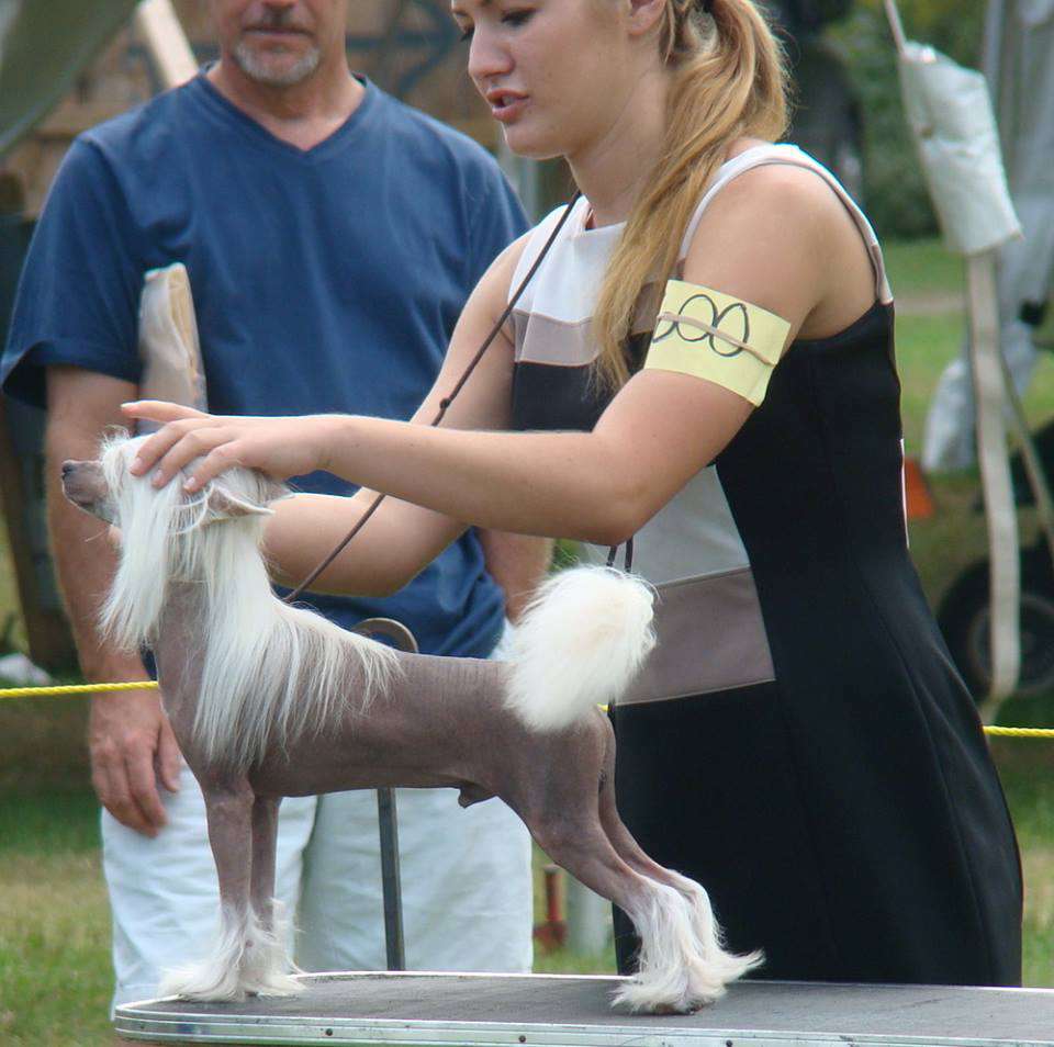 Picture