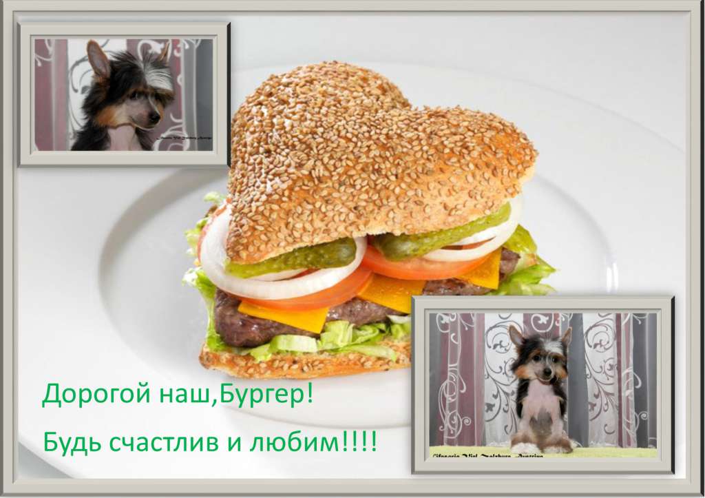 Lifasoria Viel Zalzburg Avstriya