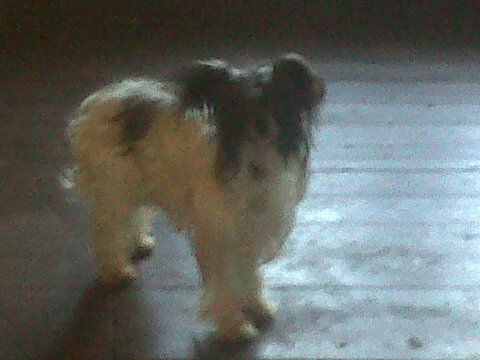 Khanor  The Day Will Dawn For Sigyns