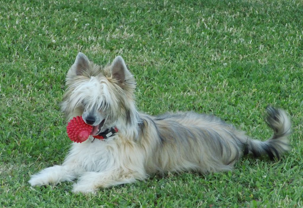 Jezabelle Queen Malverne