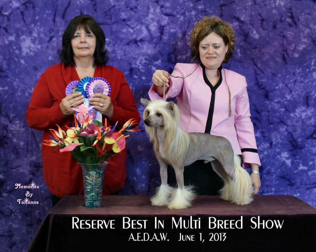 Pentastar's Renegade Raceway