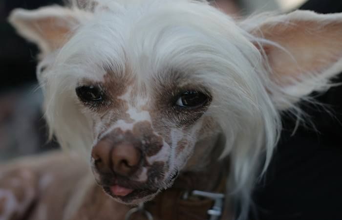 My Tiny Treasure Amazing Nathan Explosion