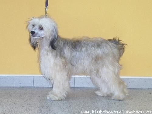 Ontario Powder Od Chlpiku