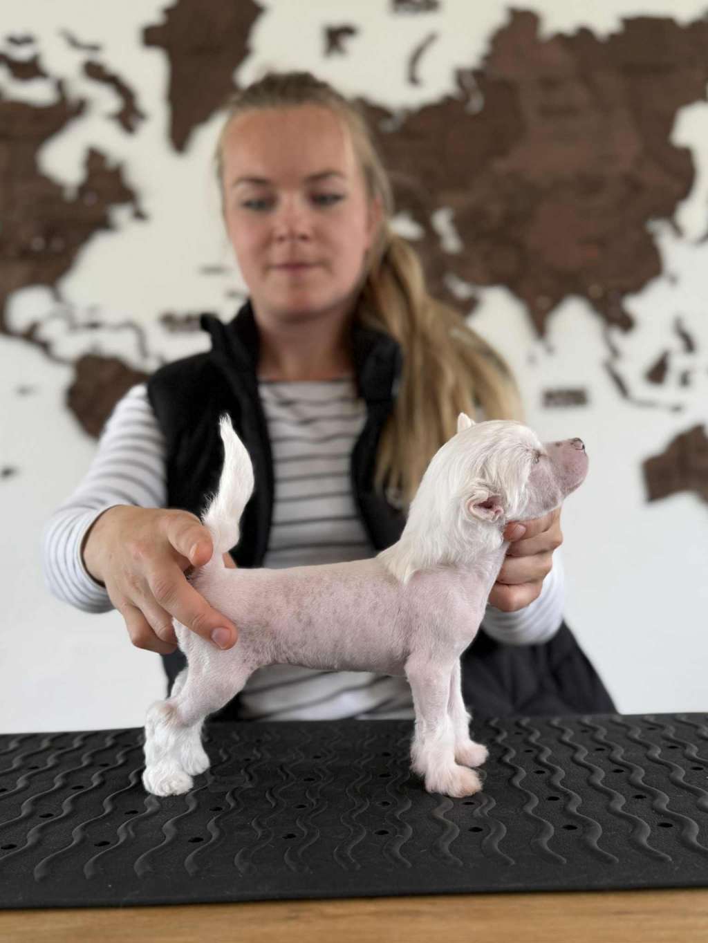 Leed's Infinity Starfall Cody