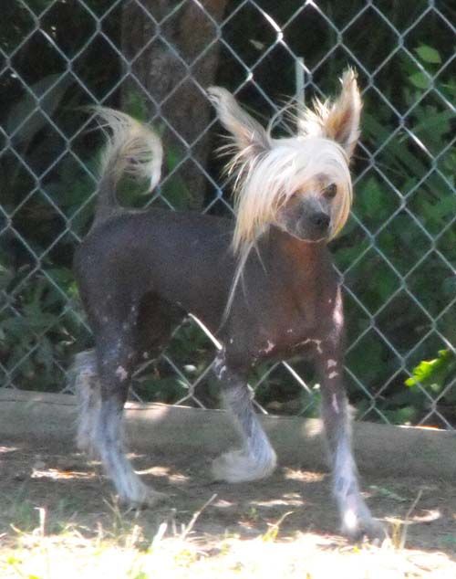 Silver Bluff Along Came a Spider