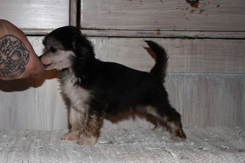 Love Bites Piece Of Mind