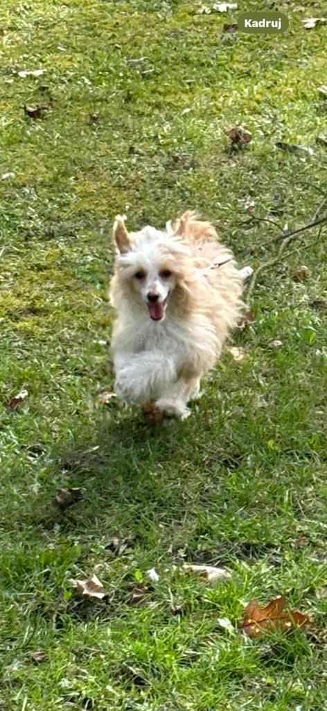 Alanya The Only One Forever