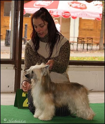 Alexander z Pulnocního dvora