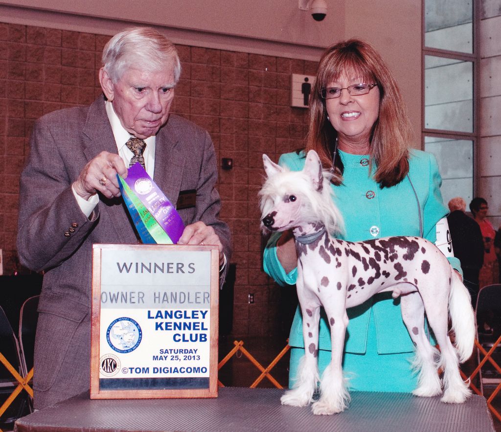 Shadowfox Ju Jitsu Jax of Diva