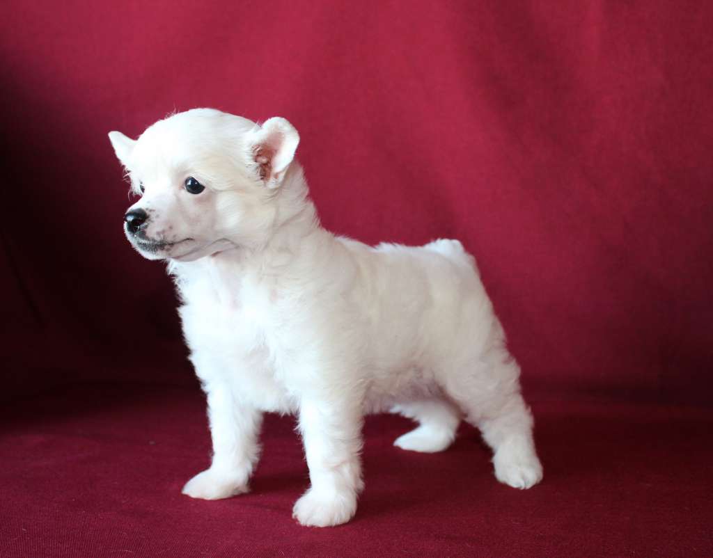 Charuyuschiy Soblazn Oh What a cutie