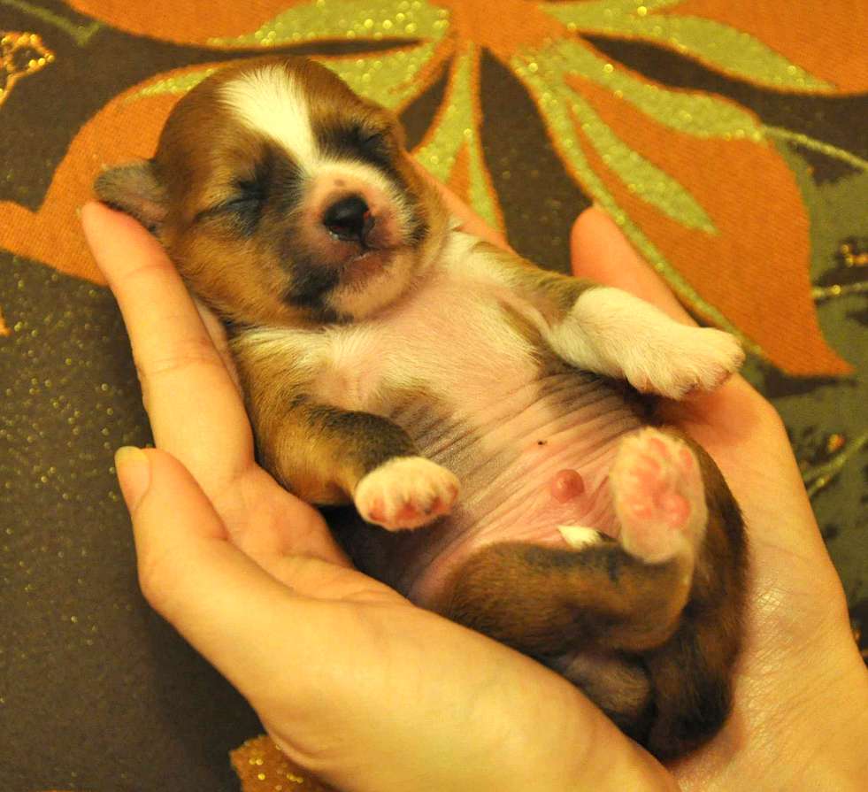 Crystal Soul Drive Me Crazy