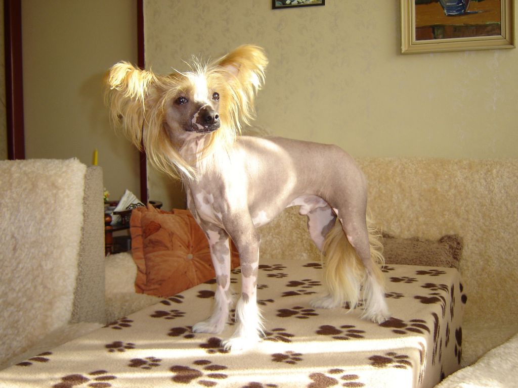 Picture