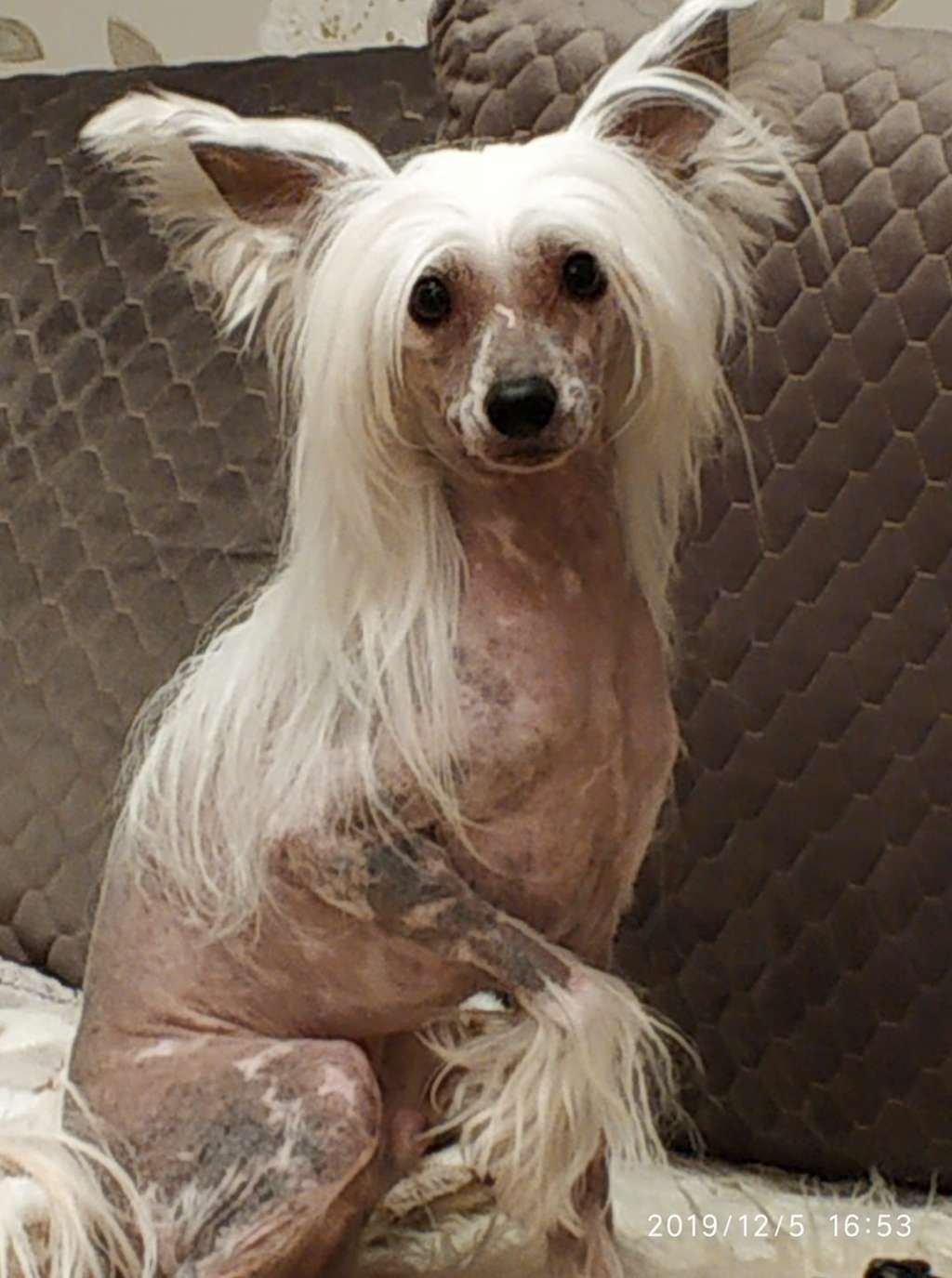 Landkris Ignacio Miguel Willy