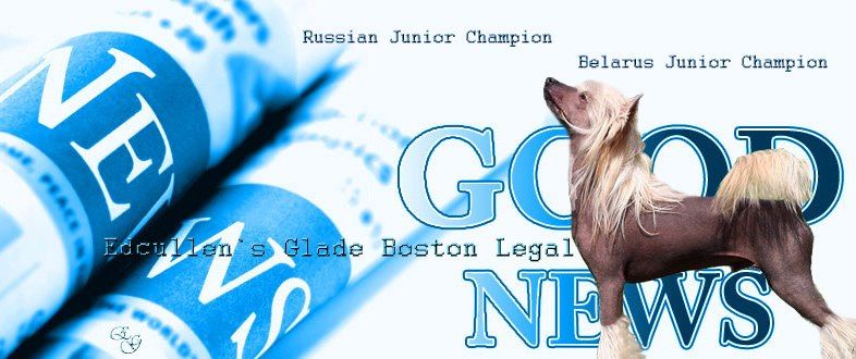 Edcullen's Glade Boston Legal